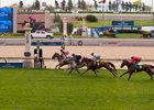 First Clockwise Trial Held on Woodbine Turf First Clockwise Trial Held on Woodbine Turf