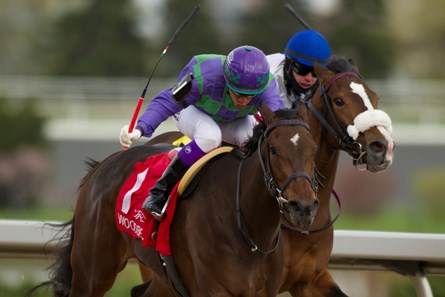 Jockey Luis Contreras guides #1 Gamble's Ghost to victory in the $150,000 dollar Grade II Selene Stakes at Woodbine Racetrack.Gamble's Ghost is owned by Ivan Dalos and trained by Josie Carroll.