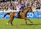 Minding wins at Newmarket