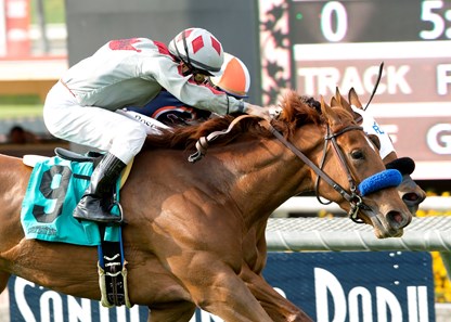 Stays in Vegas and jockey Alex Solis, outside, overpower Be Mine (Tyler Baze), inside, to win the Grade III, $100,000 Senorita Stakes, Saturday, May 7, 2016 at Santa Anita Park, Arcadia CA.
© BENOIT PHOTO