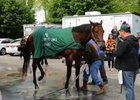 Preakness News Update for May 19 Preakness News Update for May 19