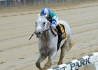 Anchor Down won this year's Westchester Stakes at Belmont Park.