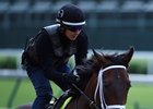Outwork, Speightster Retire to WinStar Outwork, Speightster Retire to WinStar
