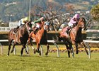 Alert Bay wins the 2016 San Francisco Mile
