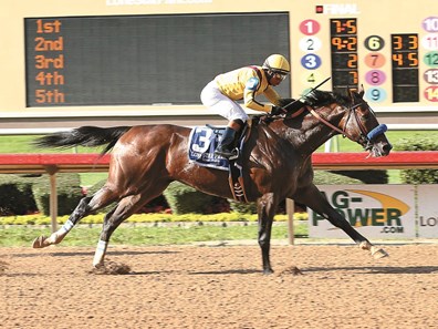 Cyrus Alexander wins the 2016 Lone Star Handicap.