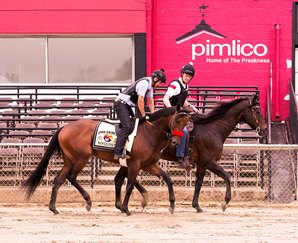 Beat Goes On for Nyquist at Pimlico