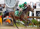 Exaggerator takes the Preakness Stakes.<br><a target="blank" href="http://photos.bloodhorse.com/TripleCrown/2016-Triple-Crown/Preakness-Stakes-141/i-XzdTmRp">Order This Photo</a>