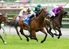 Nancy From Nairobi is on a three-race win streak entering the Gamely (gr. IT)