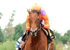 Beholder cruises to victory in the Adoration Stakes