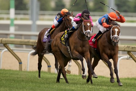 Jockey Patrick Husbands guides #6 Lexie Lou (pink silks black cap) to victory in the $200,000 Nassau Stakes at Woodbine Racetrack over the E.P.Taylor Turf Course.