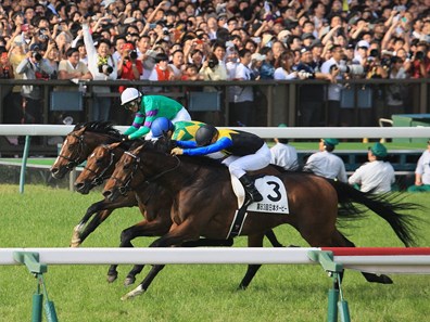 Makahiki (JPN) wins the Tokyo Yushun (Japanese Derby) May 29, 2016.