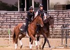 Land Over Sea training at Pimlico Race Course