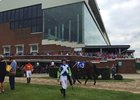 Strangles Leads to ThistleDown Quarantine Strangles Leads to ThistleDown Quarantine