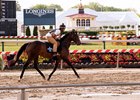 Exaggerator returns to the track after winning the Preakness Stakes