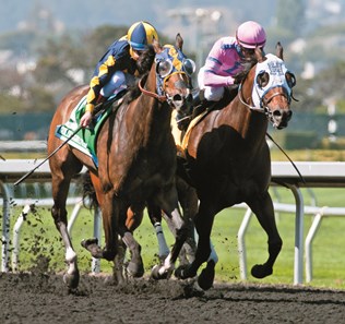 Living the Life with jockey Drayden Van Dyke win the All American (Grade III) $100,000 Guaranteed with a time of 1:37.56. Trained by Gary Mandella.