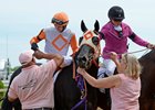 Ben's Cat after his 2016 Jim McKay Turf Sprint victory
