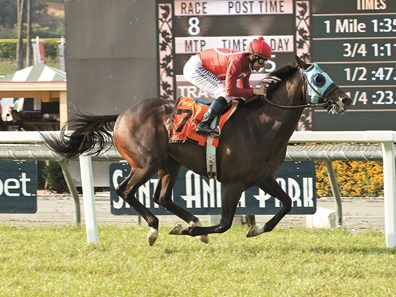 Si Sage and jockey Mike Smith win the Grade II, $200,000 Charles Whittingham Stakes, Sunday, May 29, 2016 at Santa Anita Park, Arcadia CA.
© BENOIT PHOTO