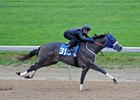 A colt from the first crop of Mission Impazible worked a quarter-mile in :21 3/5.