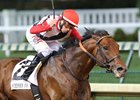 Bradester won the Stephen Foster on June 18