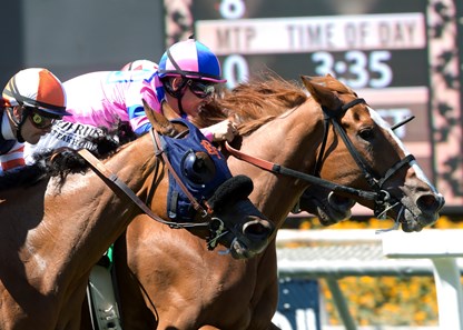 Cheekaboo and jockey Mike Smith, right, overpower Stays in Vegas (Alex Solis), inside, Be Mine (Flavien Prat), left, to win the Grade II, $200,000 Honeymoon Stakes, Sunday, June 19, 2016 at Santa Anita Park, Arcadia CA.