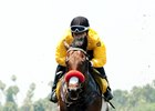 Nyquist to July 31 Haskell at Monmouth Park Nyquist to July 31 Haskell at Monmouth Park