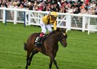 Stonestreet Thrilled by Lady Aurelia Stonestreet Thrilled by Lady Aurelia