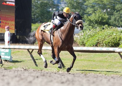 Modern winning the John Longden Stakes on June 4th 2016 with Richard Hamel as jockey.