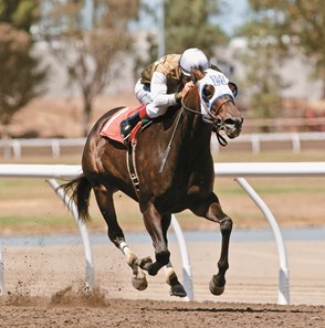 Jockey Russell Baze rides Handfull to victory in the California Governor's Cup at the California State Fair July 11, 2016.
