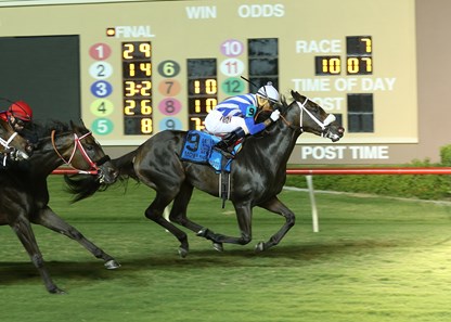 More Than Most wins the 2016 Lane's End Stallion Scholarship Stakes.