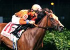 Auntie Joy wins the 2016 Regret Stakes.