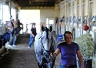Asmussen Basks in Belmont Afterglow Asmussen Basks in Belmont Afterglow
