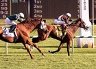 Phlash Phelps wins 2015 Maryland Million Turf Stakes