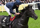 Heavyweights Set to Clash in Commonwealth Cup Heavyweights Set to Clash in Commonwealth Cup