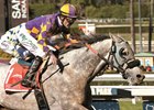 Kobe's Back Seeks Return to Winning Form in Kona Gold Kobe's Back Seeks Return to Winning Form in Kona Gold