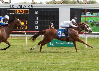Stormin Elle winning The Mike Spellman Memorial Handicap at Arlington Internation June 2016, Jose Valdivia Jr. up