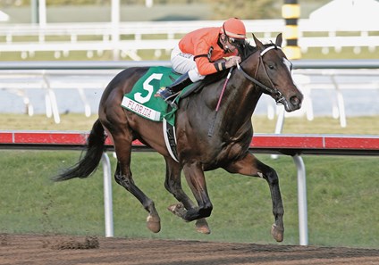 Lost in the Fog, with Russell Baze, takes the $250,000 Ocala Stud Dash on Sunshine Millions Day at Gulfstream Park Jan. 29, 2005.