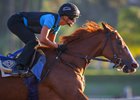 Stellar Wind works June 19