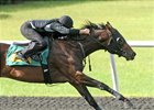 Delayed, But OBS Under Tack Show Proceeds Delayed, But OBS Under Tack Show Proceeds