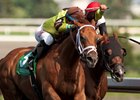 Red Rifle Aims to Repeat in Dominion Day Red Rifle Aims to Repeat in Dominion Day