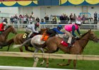 A clockwise trial event at Woodbine