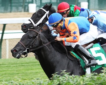 Latent Revenge wins the 2016 Mighty Beau.