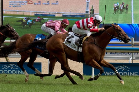 Jockey David Moran guides Dimension (#2 Red silks white cap) to victory in the $200,000 Connaught Cup Stakes at Woodbine Racetrack over the E.P.Taylor turf course.