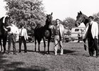 Group to Expand 'Operation Gelding' Program Group to Expand 'Operation Gelding' Program