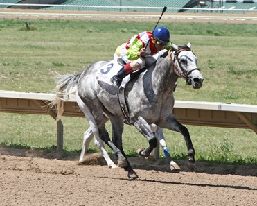 Uptown Dannys Boy wins the 2016 Jerry Partin Memorial Cobra Sprint.
