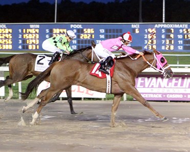 Sunny Oak wins the 2016 Acadiana Stakes.