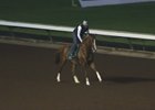 California Chrome Work - June 25, 2016 California Chrome Work - June 25, 2016