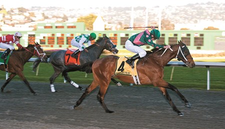 Silver Medallion wins the El Camino Real Derby at Golden Gate Fields Feb. 12, 2011.