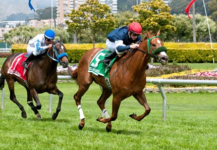 Russell Baze wins on the turf with Justenufappeal in the 2011 Golden Poppy Stakes April 16.