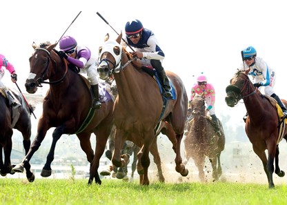 Mr. Roary wins the 2016 Rainbow Stakes.