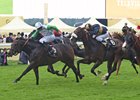 Twilight Son to Cheveley Park in 2017 Twilight Son to Cheveley Park in 2017